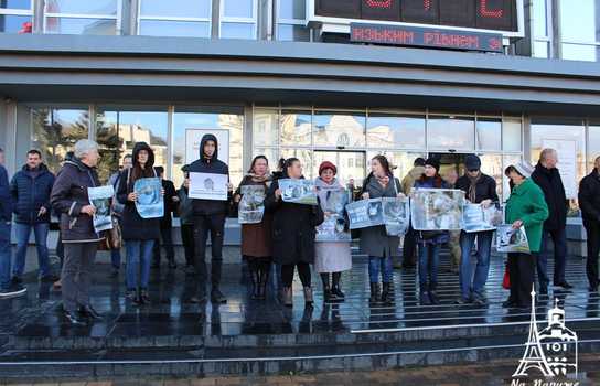 Новини Вінниці / Чому котів у Вінниці не визнали частиною міської екосистеми та мешканцями міста?