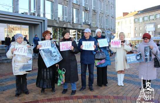 Новини Вінниці / Чому котів у Вінниці не визнали частиною міської екосистеми та мешканцями міста?