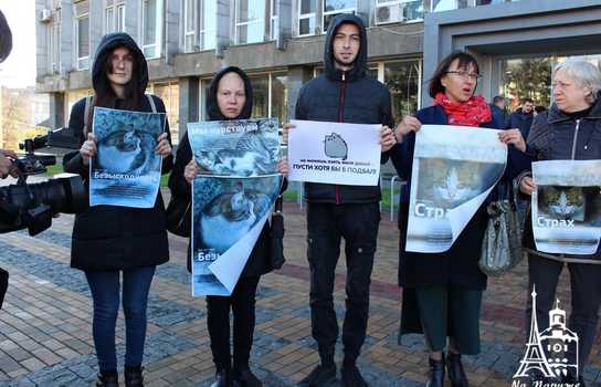 Новини Вінниці / Чому котів у Вінниці не визнали частиною міської екосистеми та мешканцями міста?