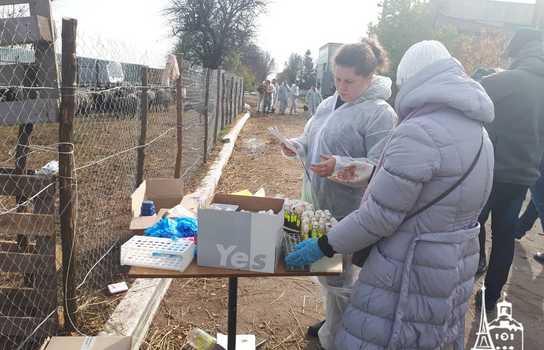 Новини Вінниці / Чи здорові дніпропетровські вівці, які перебували у «митному полоні» та відновлюються на Вінниччині, буде відомо за 5-7 днів