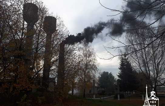 Новини Вінниці / Чи здорові дніпропетровські вівці, які перебували у «митному полоні» та відновлюються на Вінниччині, буде відомо за 5-7 днів