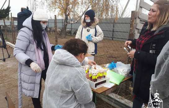 Новини Вінниці / Чи здорові дніпропетровські вівці, які перебували у «митному полоні» та відновлюються на Вінниччині, буде відомо за 5-7 днів