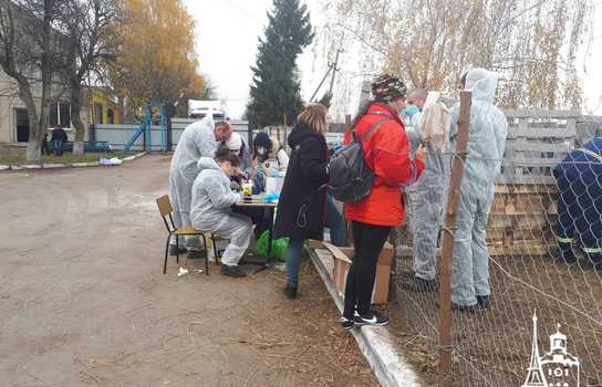 Новини Вінниці / Чи здорові дніпропетровські вівці, які перебували у «митному полоні» та відновлюються на Вінниччині, буде відомо за 5-7 днів