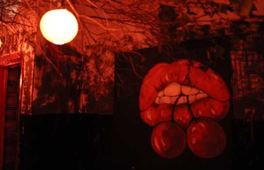 Новини Вінниці / ГогольФест в Виннице. НеФонтан (ФОТО)