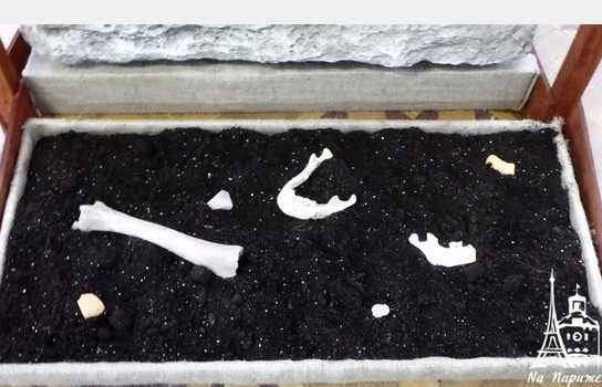 Новини Вінниці / У Вінниці до лютого можна побачити виставку врятованих і знищених артефактів