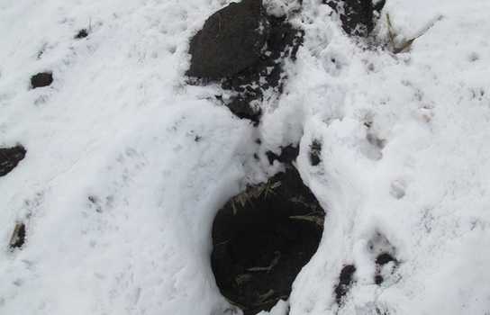 Новини Вінниці / На Вінниччині невідомі пошкодили ще один курган (ФОТО)