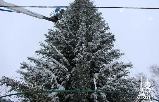 Новини Вінниці / 28  метрів заввишки: у Вінниці головну новорічну ялинку готують до вікриття (ФОТО)