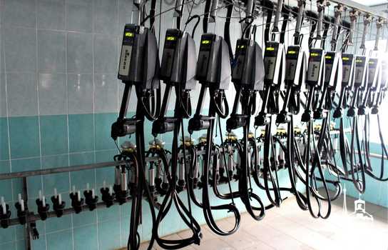 Новини Вінниці / На Вінниччині запрацював новий сучасний молокопереробний комплекс європейського зразка «Villa Milk»(ФОТО)