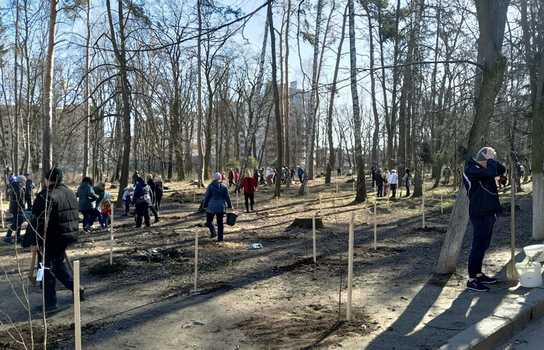Новини Вінниці / У Вінниці в лікарняному парку містяни висадили понад 1000 дерев