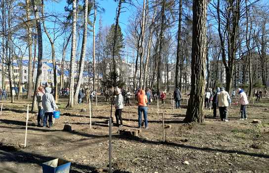 Новини Вінниці / У Вінниці в лікарняному парку містяни висадили понад 1000 дерев