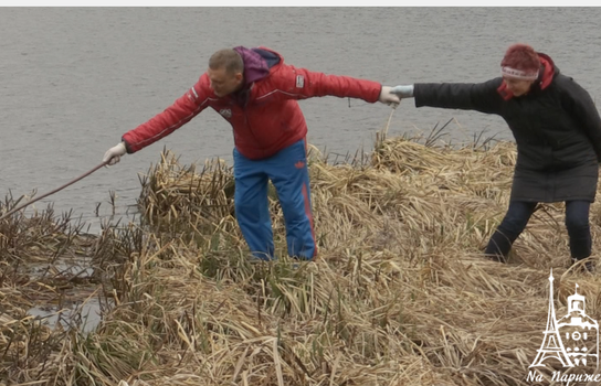 Новини Вінниці / У «день тиші» вінничани вийшли прибирати улюблену зону відпочинку на Сабарові (ФОТО)