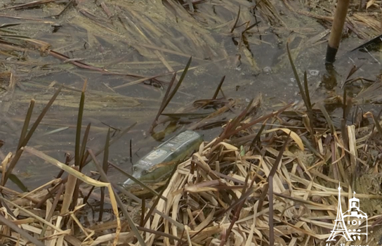 Новини Вінниці / У «день тиші» вінничани вийшли прибирати улюблену зону відпочинку на Сабарові (ФОТО)