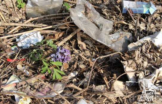 Новини Вінниці / «Добре, що хоч сексом тут займаються безпечним»: купи сміття, шприців та презервативів зібрали у Вінниці над маленькою річкою (ФОТО, ВІДЕО)