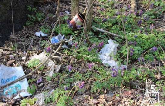 Новини Вінниці / «Добре, що хоч сексом тут займаються безпечним»: купи сміття, шприців та презервативів зібрали у Вінниці над маленькою річкою (ФОТО, ВІДЕО)