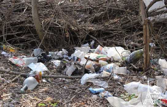 Новини Вінниці / «Добре, що хоч сексом тут займаються безпечним»: купи сміття, шприців та презервативів зібрали у Вінниці над маленькою річкою (ФОТО, ВІДЕО)