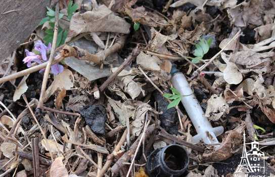 Новини Вінниці / «Добре, що хоч сексом тут займаються безпечним»: купи сміття, шприців та презервативів зібрали у Вінниці над маленькою річкою (ФОТО, ВІДЕО)