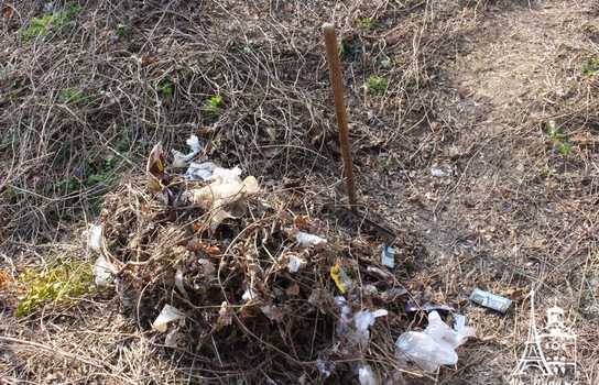 Новини Вінниці / «Добре, що хоч сексом тут займаються безпечним»: купи сміття, шприців та презервативів зібрали у Вінниці над маленькою річкою (ФОТО, ВІДЕО)