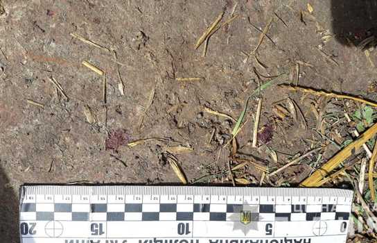 Новини Вінниці / Моторошне вбивство на Вінниччині: чоловік побив жінку, задушив та залишив на городі (ФОТО)