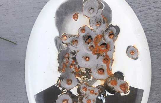 Новини Вінниці / У селі на Вінниччині підліток пошкодив 60 хрестів та пам’ятників на кладовищі: каже, таким чином хотів заспокоїтися (ФОТО) 