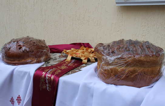 Новини Вінниці / Із саджанцями калини прийшли на останній дзвінок випускники Уланівської ЗОШ на Вінниччині (ФОТО)