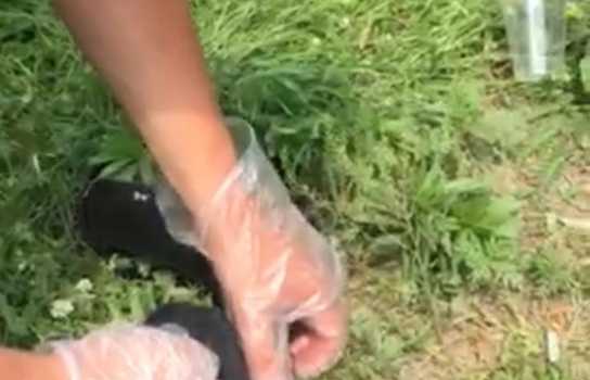 Новини Вінниці / «Любителя» чужої зброї з Житомирщини взяли під варту на Вінниччині