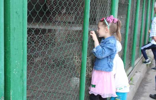 Новини Вінниці / Понад 1200 дітей у Вінниці безплатно запросили на свято до зоопарку (ФОТО)