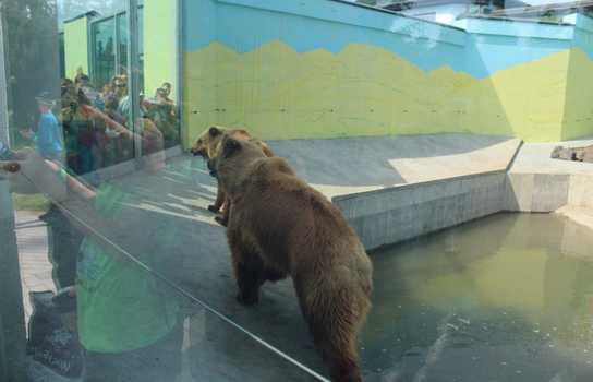 Новини Вінниці / Понад 1200 дітей у Вінниці безплатно запросили на свято до зоопарку (ФОТО)