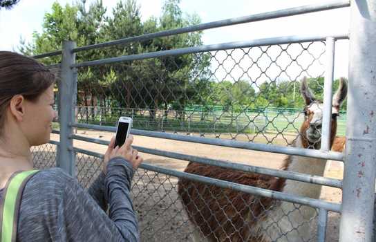 Новини Вінниці / Понад 1200 дітей у Вінниці безплатно запросили на свято до зоопарку (ФОТО)