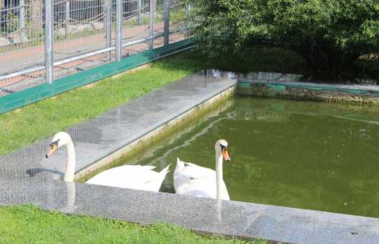 Новини Вінниці / Понад 1200 дітей у Вінниці безплатно запросили на свято до зоопарку (ФОТО)