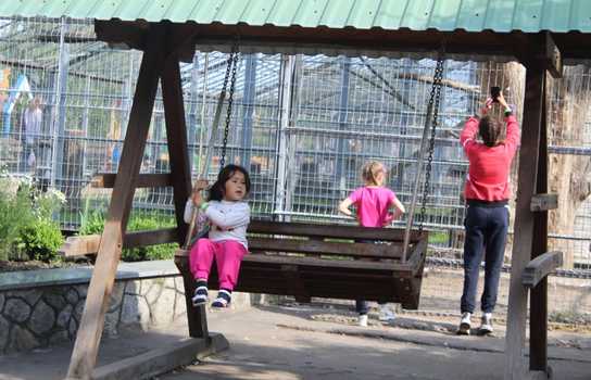 Новини Вінниці / Понад 1200 дітей у Вінниці безплатно запросили на свято до зоопарку (ФОТО)