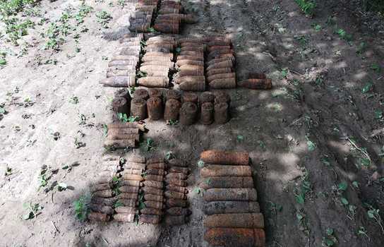 Новини Вінниці / У лісі на Вінниччині знайшли 123 боєприпаси (ФОТО)