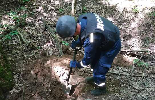 Новини Вінниці / У лісі на Вінниччині знайшли 123 боєприпаси (ФОТО)