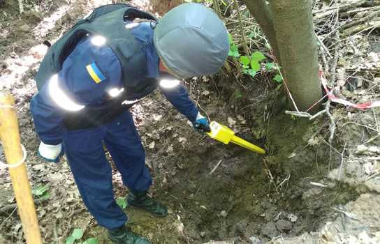 Новини Вінниці / У лісі на Вінниччині знайшли 123 боєприпаси (ФОТО)