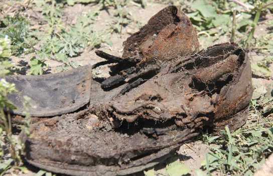 Новини Вінниці / Людські рештки, взуття, гранати та набої викопали у Липовці на Вінниччині (ФОТО)