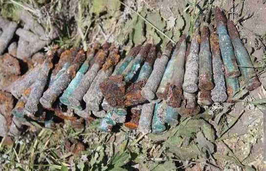 Новини Вінниці / Людські рештки, взуття, гранати та набої викопали у Липовці на Вінниччині (ФОТО)