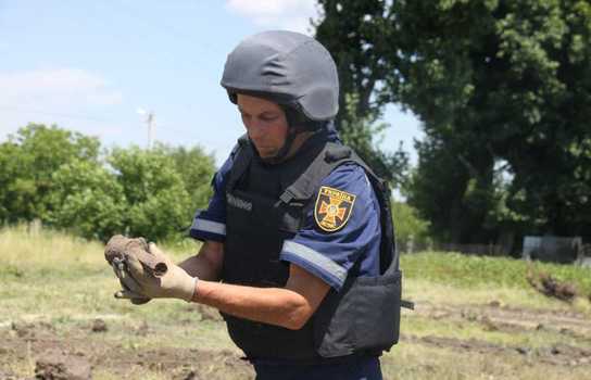 Новини Вінниці / Людські рештки, взуття, гранати та набої викопали у Липовці на Вінниччині (ФОТО)