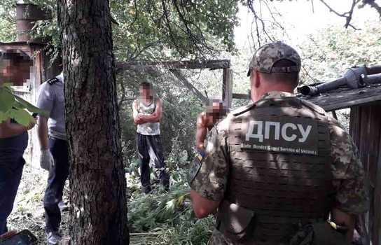 Новини Вінниці / Коноплю у теплиці вирощував житель Ямпільского району на Вінниччині (ФОТО, ВІДЕО)