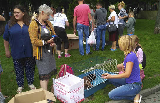 Новини Вінниці / Хвіст-фест у Вінниці: містянам запропонували взяти додому маленьких пухнастиків (ФОТО, ВІДЕО)