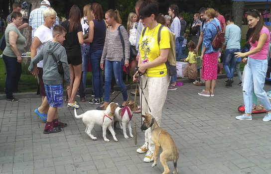 Новини Вінниці / Хвіст-фест у Вінниці: містянам запропонували взяти додому маленьких пухнастиків (ФОТО, ВІДЕО)
