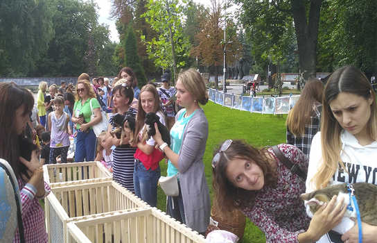 Новини Вінниці / Хвіст-фест у Вінниці: містянам запропонували взяти додому маленьких пухнастиків (ФОТО, ВІДЕО)