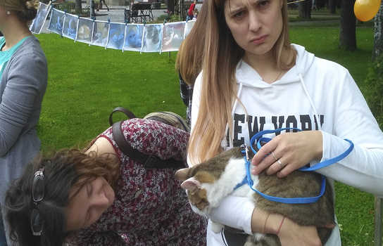 Новини Вінниці / Хвіст-фест у Вінниці: містянам запропонували взяти додому маленьких пухнастиків (ФОТО, ВІДЕО)