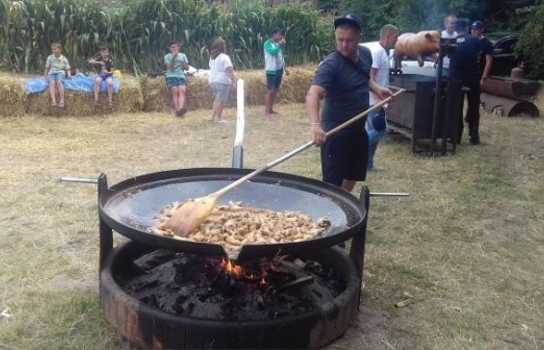 Новини Вінниці / На Вінниччині влаштували фестиваль з «гламурним» трактором (ФОТО)