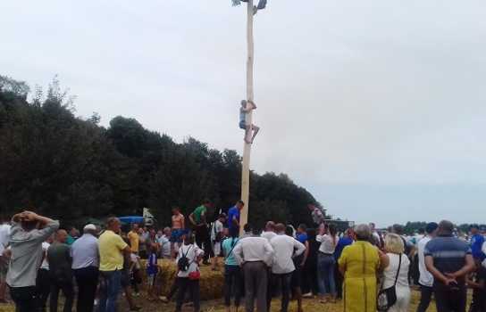 Новини Вінниці / На Вінниччині влаштували фестиваль з «гламурним» трактором (ФОТО)