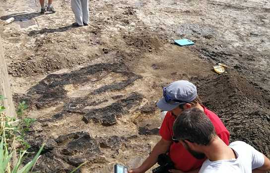 Новини Вінниці / На Вінниччині розкопують давній курган, де знайшли залишки тризни (ФОТО, ВІДЕО)