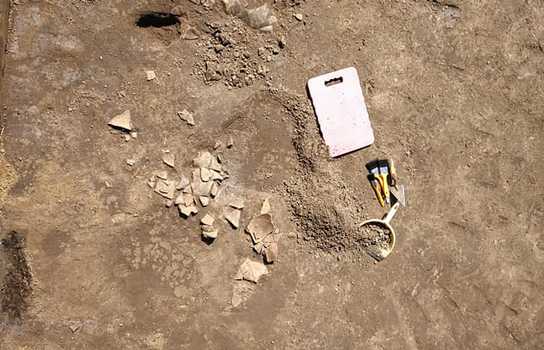 Новини Вінниці / На Вінниччині розкопують давній курган, де знайшли залишки тризни (ФОТО, ВІДЕО)