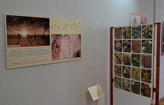 Новини Вінниці / «Школа темних віків»: у Вінниці показують підготовку до виживання у різні епохи (ФОТО) 