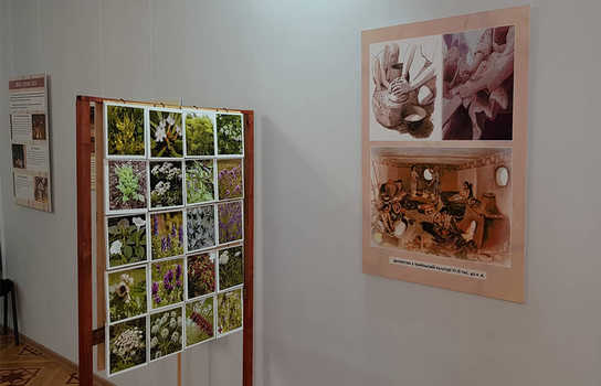 Новини Вінниці / «Школа темних віків»: у Вінниці показують підготовку до виживання у різні епохи (ФОТО) 