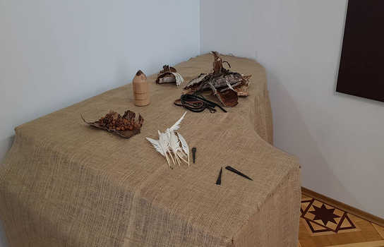 Новини Вінниці / «Школа темних віків»: у Вінниці показують підготовку до виживання у різні епохи (ФОТО) 