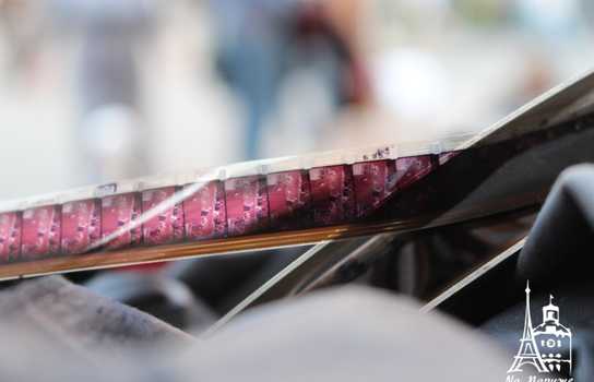 Новини Вінниці / Із «червоною доріжкою», ретро-кіноапаратом та давньою плівкою у центрі Вінниці відзначили День українського кіно (ФОТО, ВІДЕО) 