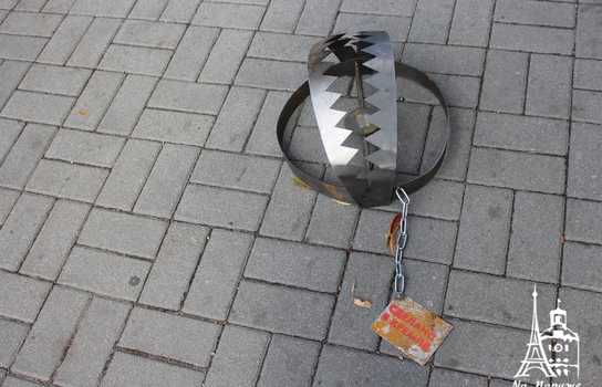 Новини Вінниці / У центрі Вінниці стоять великі капкани, а перехожі пишуть листи в російські тюрми: триває акція на підтримку в’язнів Кремля (ФОТО, ВІДЕО)